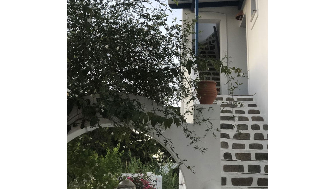 gallery-8